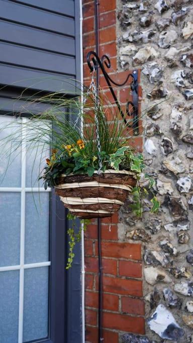 *Stunning* The Botanist Rest Ventnor Iow Villa Exterior photo