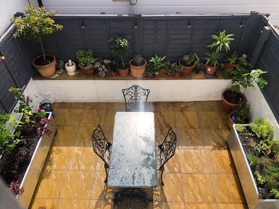 *Stunning* The Botanist Rest Ventnor Iow Villa Exterior photo